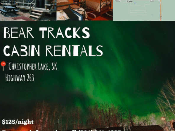 Bear Tracks Cabin Rentals